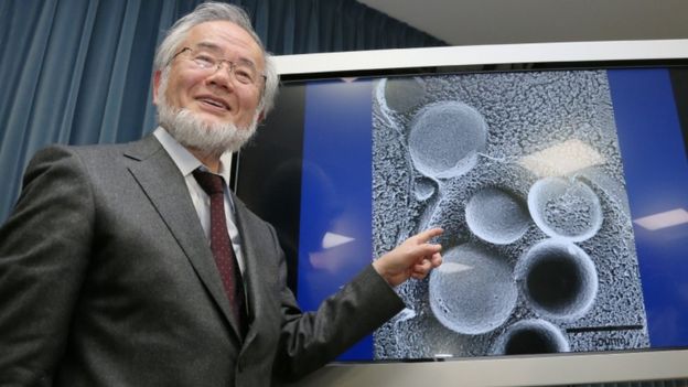 دانشمند ژاپنی یوشینوری اُسومی برنده نوبل پزشکی ۲۰۱۶ شد